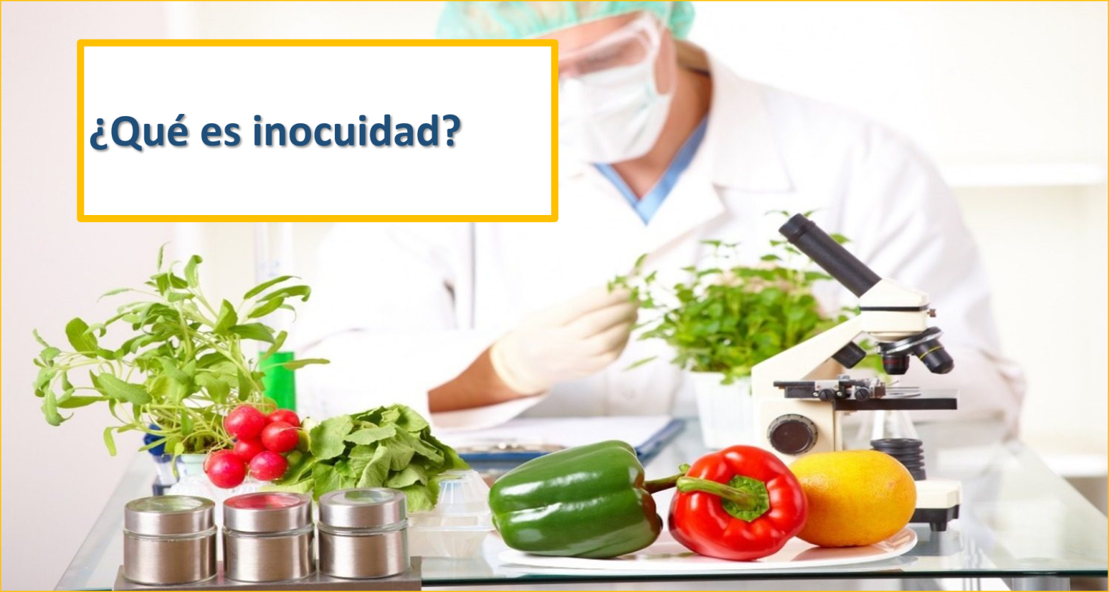 inocuidad food safety