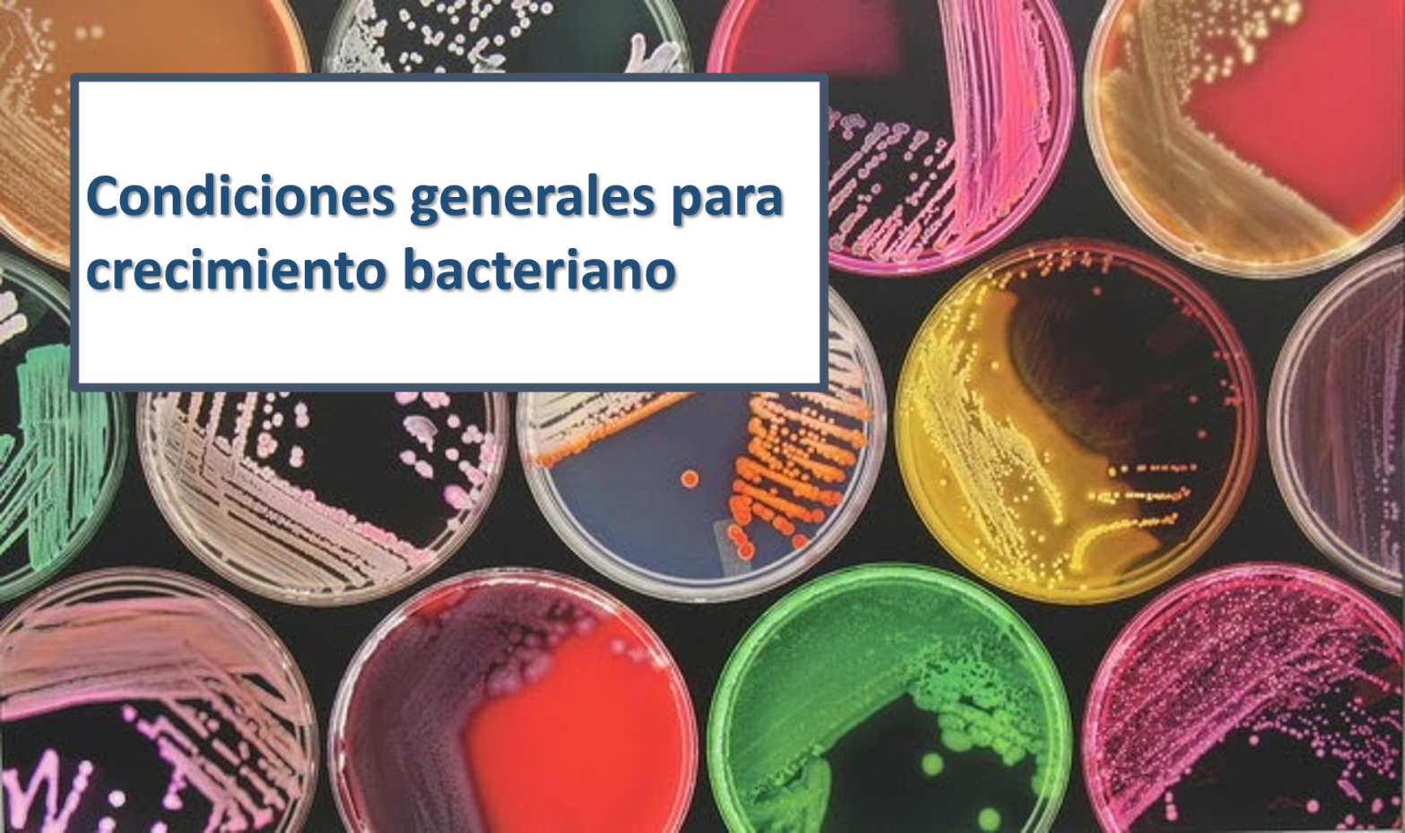 crecimiento bacteriano microbiologia