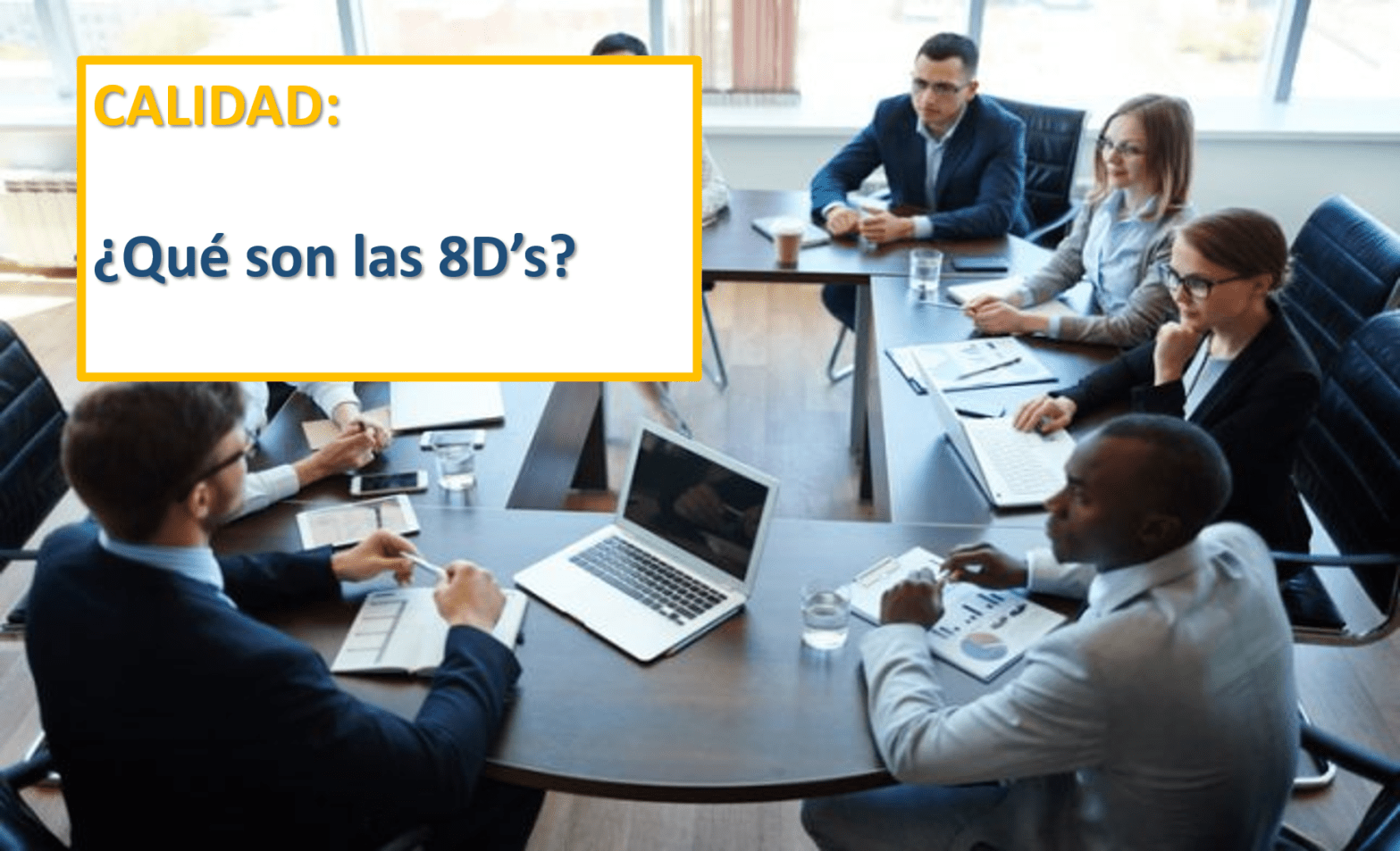 Calidad 8D