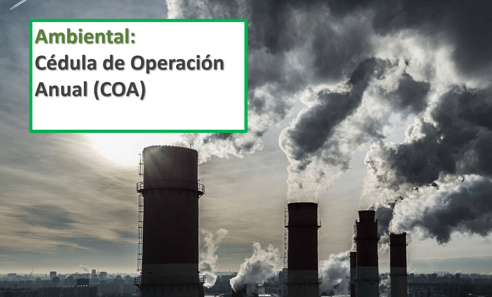Ambiental COA cedula contaminacion