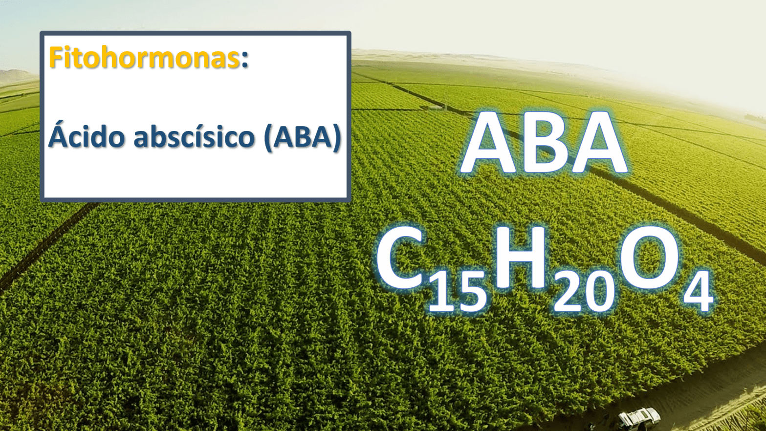 Fitohormona acido abscisico agricultura