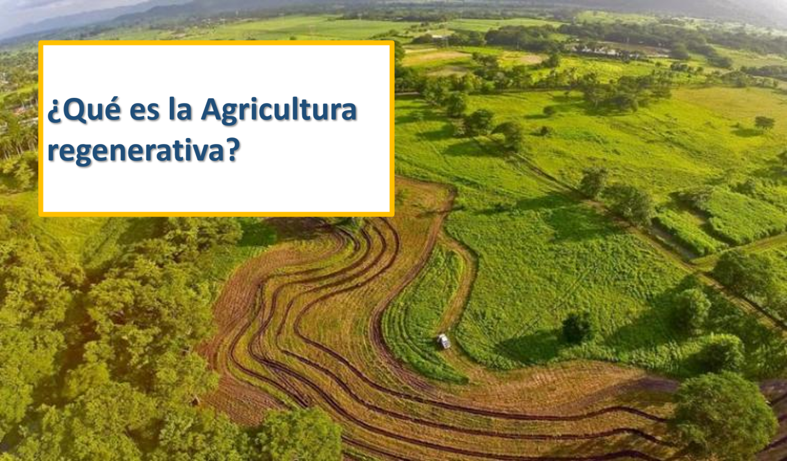 Agricultura Regenerativa