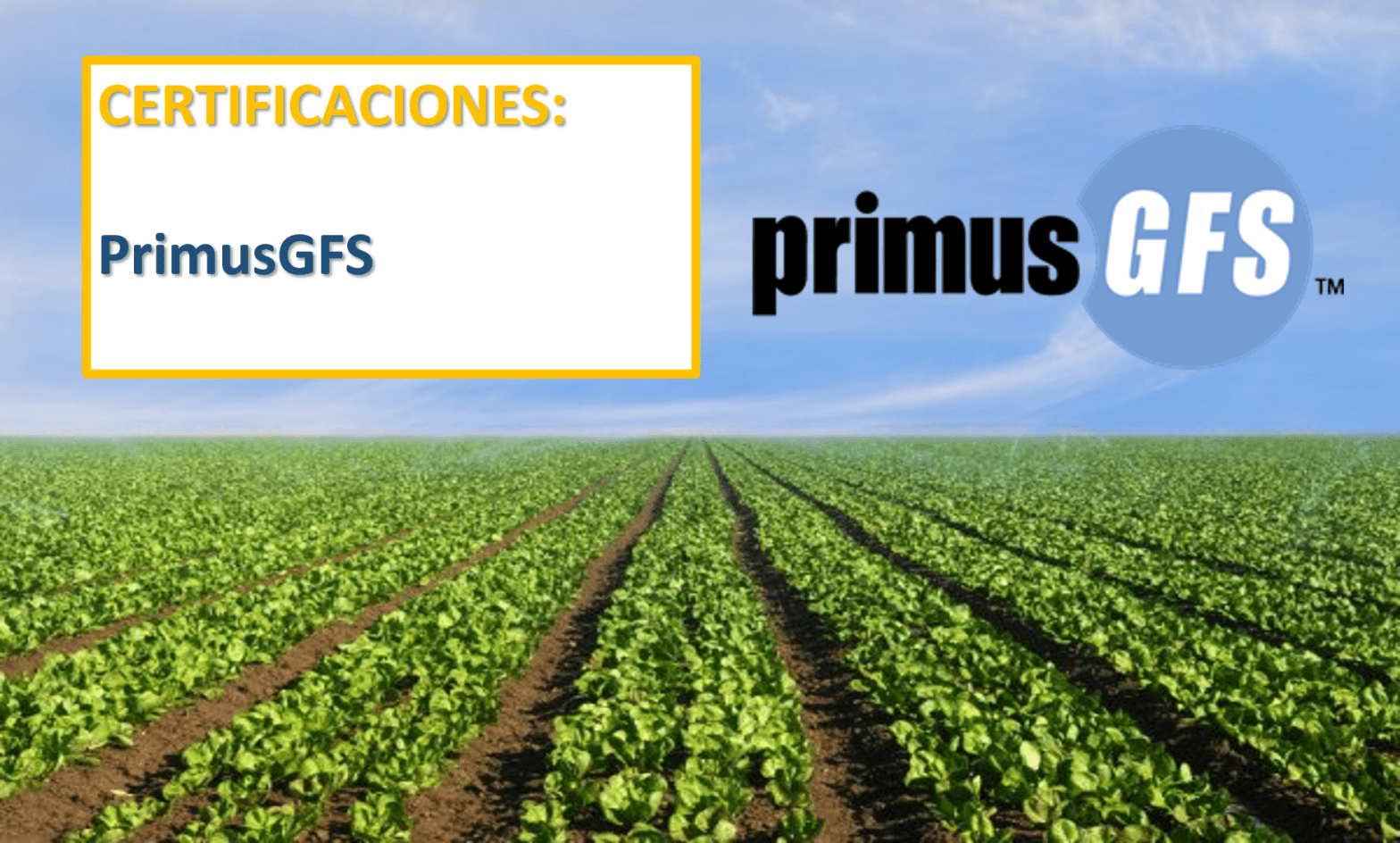 PrimusGFS inocuidad food safety