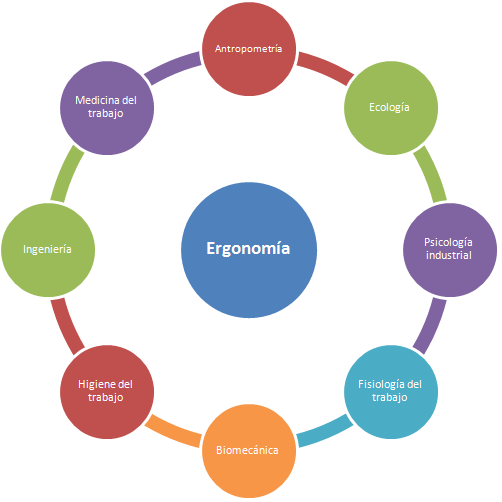 ergonomia y la relacion con otras ramas de la ciencia en la salud ocupacional - gestium