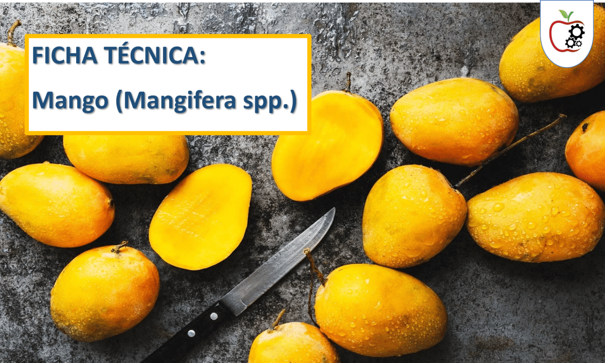 Ficha técnica: Mango (Mangifera&nbsp;spp.)