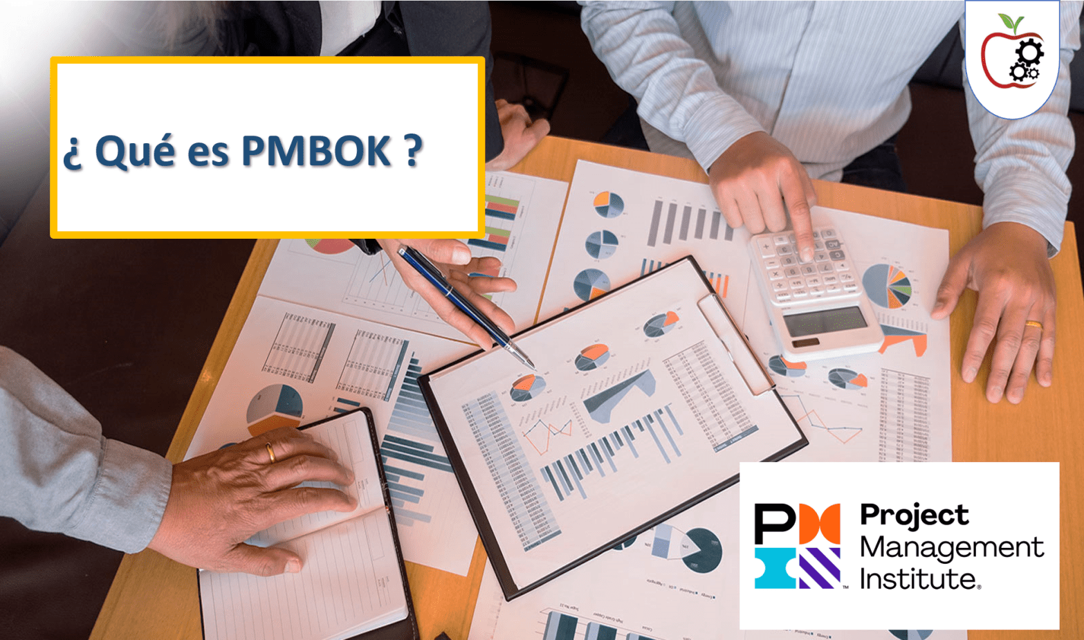 gestium zuniga proyectos PMI PMBOK